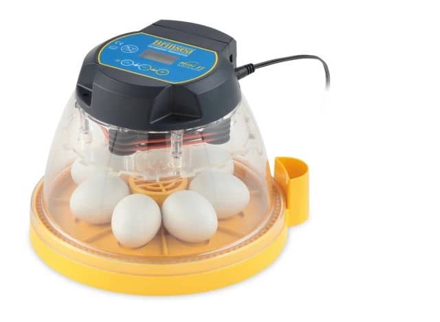 incubator for eggs