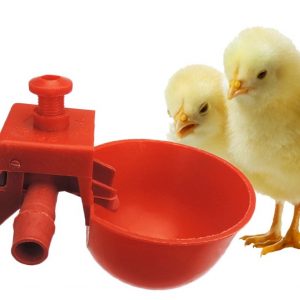 Best Chicken Waterer