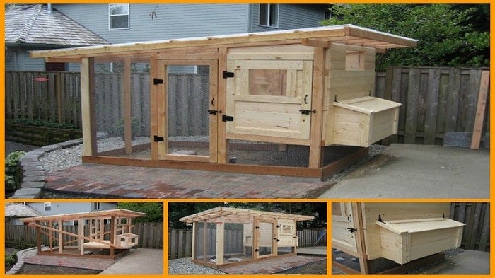 DIY Chicken Coops