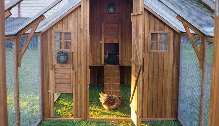 Close the Coop Door at Night or Not