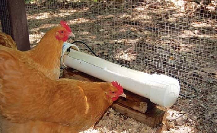 DIY Chicken Waterer