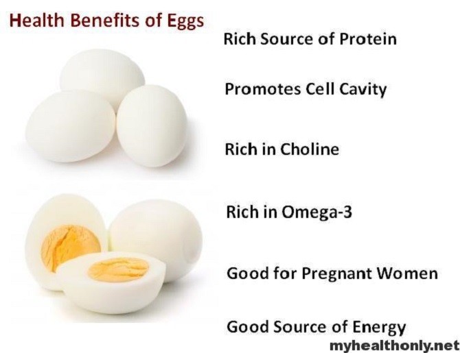 Health Benefits of Eggs