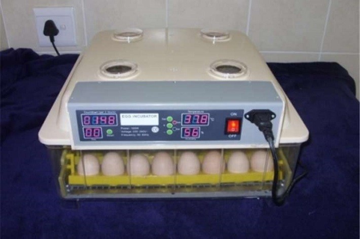 Increase Humidity Chicken Incubator