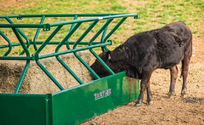 best cattle feeders