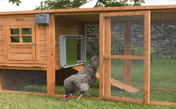 Chicken Coop Door