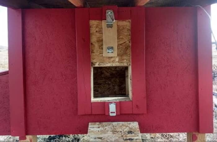 What Size Door Opening for Chicken Coop