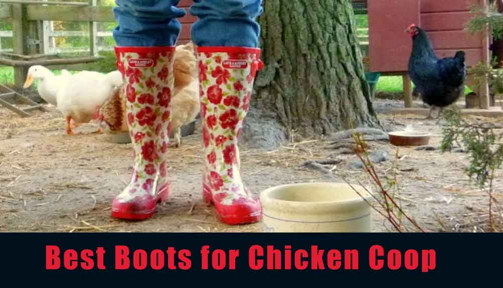 best boots for chicken coop