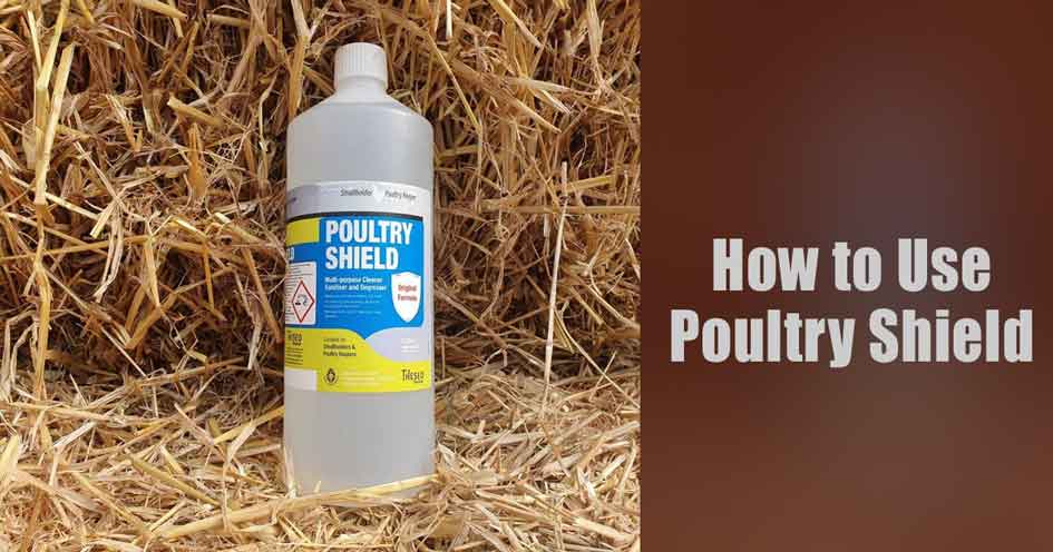 How to Use Poultry Shield