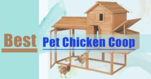 Best Pet Chicken Coop and Cage