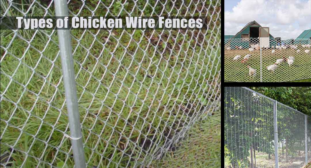 3 Types of Best Chicken Wire Fences