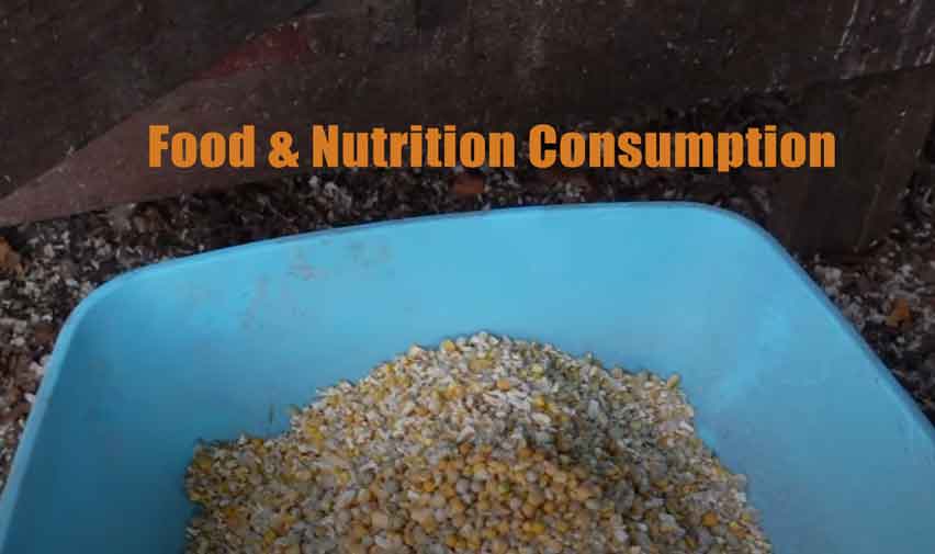 Food & Nutrition Consumption