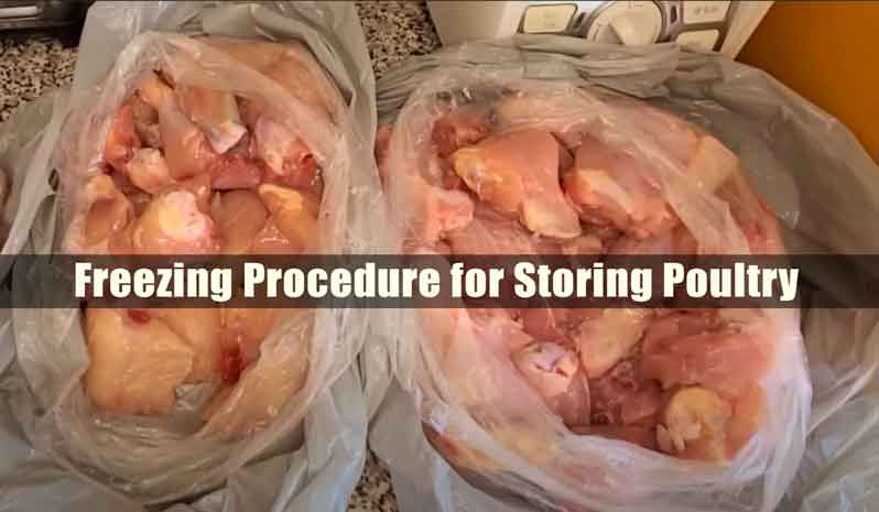 Freezing Procedure for Storing Poultry