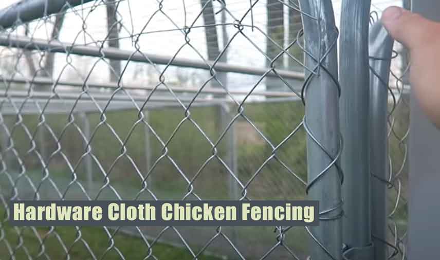 Hardware Cloth Chicken Fencing