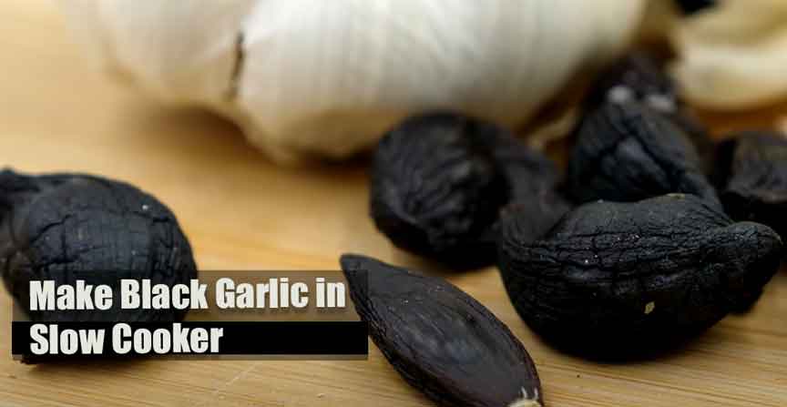 How to Make Black Garlic in Slow Cooker