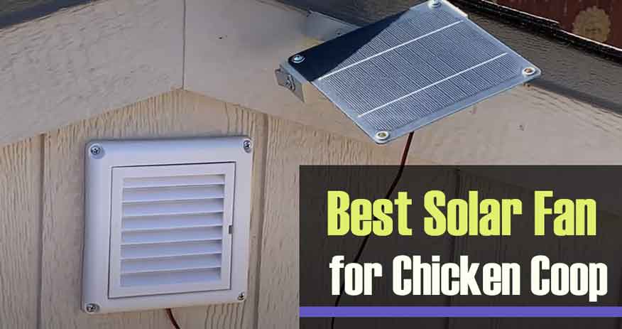 Best Solar Fan for Chicken Coop