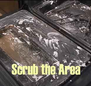 Scrub the Area