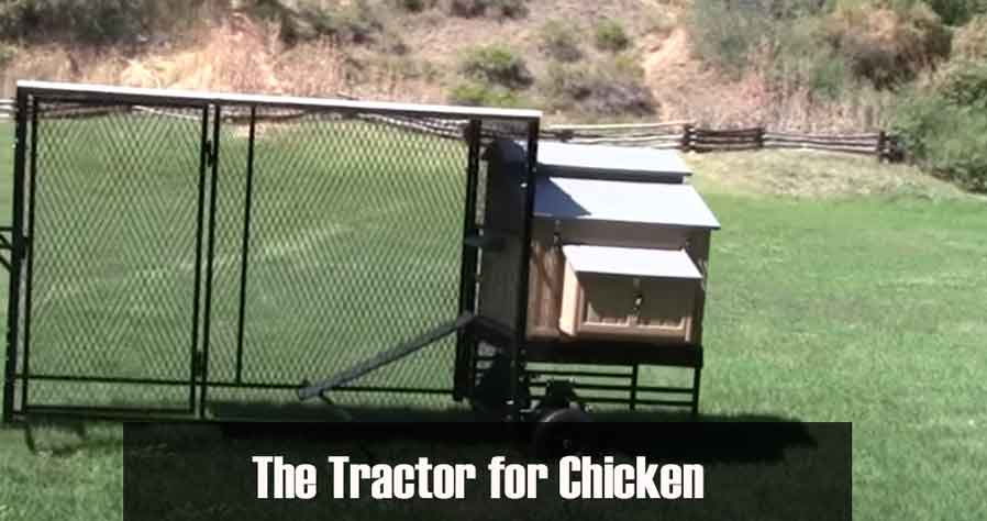 The Tractor for Chicken