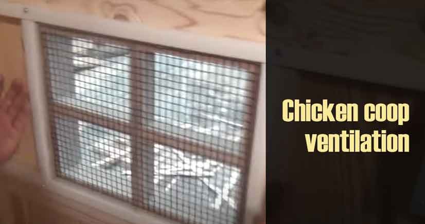 chicken coop ventilation