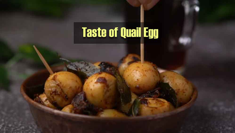 Taste of Quail Egg