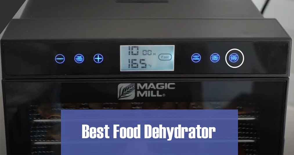 Best Food Dehydrator